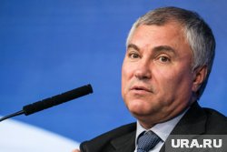 Володин заявил, что Европа вмешивалась в выборы США