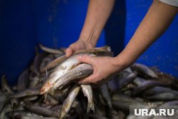 Ирина утверждает, что работала по 16 часов в сутки (архивное фото)