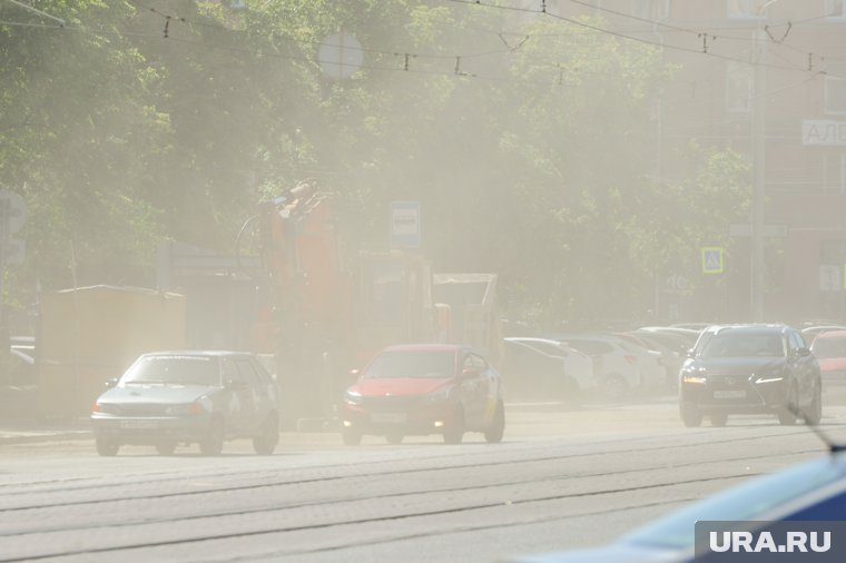 Концентрация пыльцы в воздухе достигнет максимальных уровней