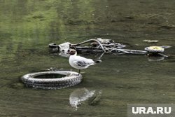 Кетовский округ очищают от мусора