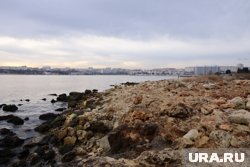 На пляжах найдены пятна мазута