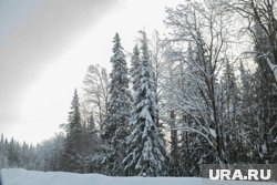 В Красноярском крае завершили активные поиски семьи Усольцевых