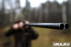Силовики задержали охотника, который незаконно застрелил косулю в заказнике