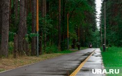 Рыбак из Ноябрьска провел ночь в лесу