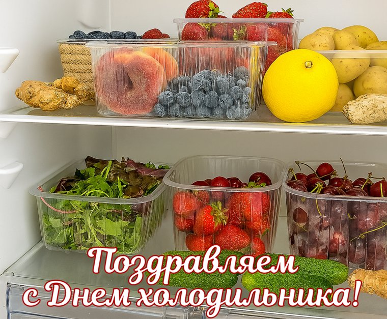 У холодильника длинная история происхождения