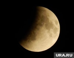 Полное лунное затмение смогли увидеть жители Кургана