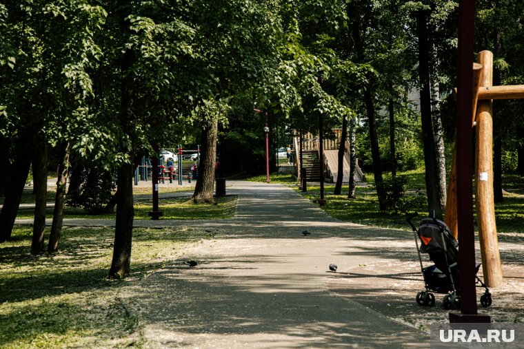 В Сургуте обустроят новый парк