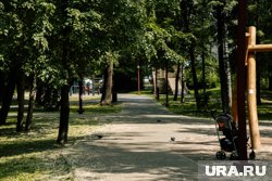 В Сургуте обустроят новый парк