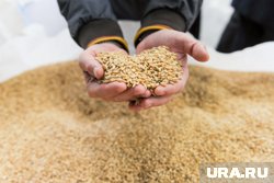 В 2025 году урожай пошел в рост