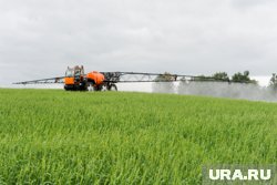 Росгидромет подготовит подробный прогноз погоды для аграриев