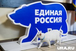 Количество участников праймериз достигло трех тысяч