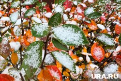 Снег может выпасть в Кургане уже 15 октября