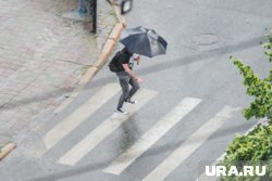 Пешеходный переход в Кургане по улице Станционной останется на прежнем месте (архивное фото)
