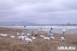 В Анапе основную часть мазута с пляжей удалось вычистить, работы продолжаются