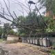 Ураган в Белогорске оставил 81 тысячу людей без света и воды: последствия ночной стихии