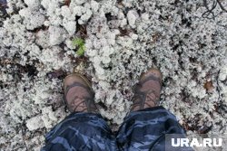 Челябинский дедушка ушел в лес и не вернулся домой