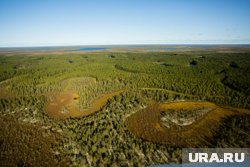 Усольцевы живут в Железногорске
