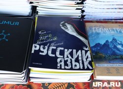 Для иностранцев, желающих учиться в РФ, определят обязательный уровень владения русским языком