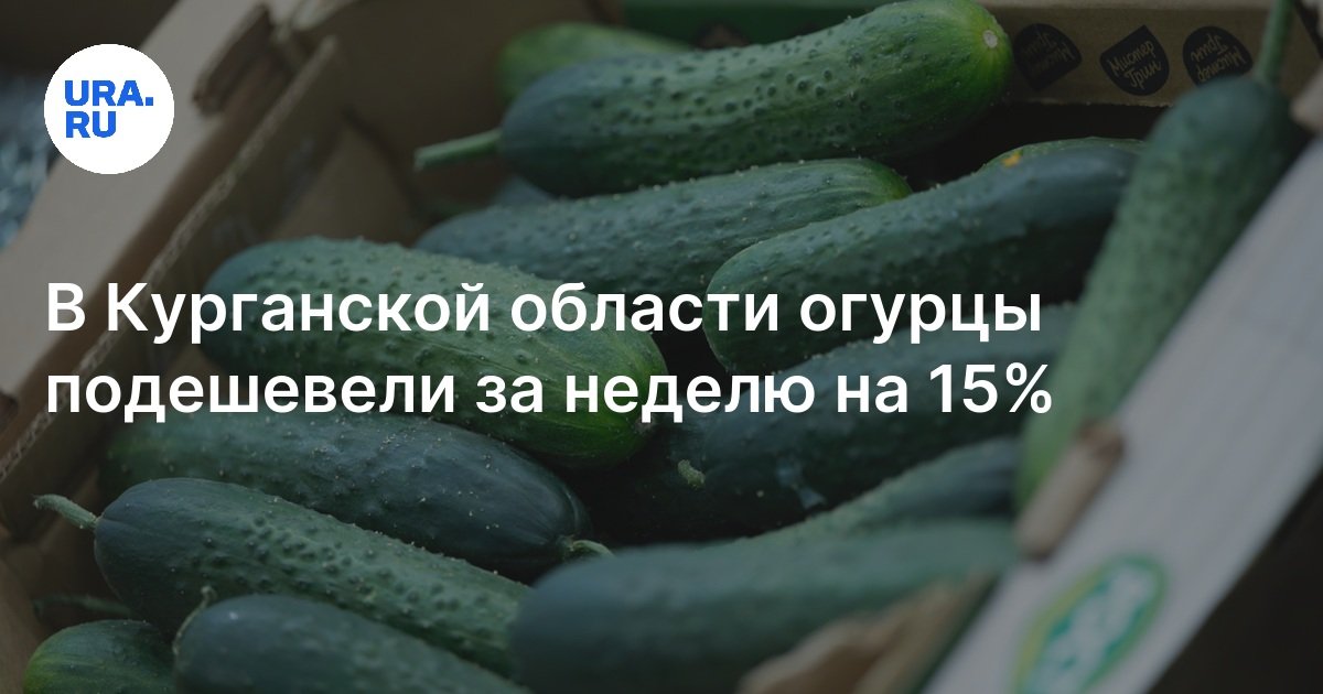 Сколько стоят огурцы в Курганской области в июле 2024