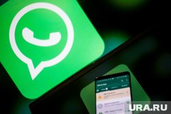 В ГД считают, что пока рано говорить о времени и причинах для блокировки WhatsApp*