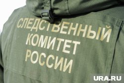Пенсионерка скончалась после нападения собак в Красновишерске