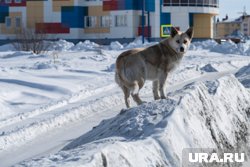 Синоптик предупредил, что не во все регионы России спешит весна