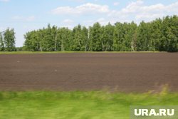 Теперь в России инспекторы будут выявлять участки и определять, считаются ли они освоенными или нет