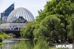 Цирк закрыли на реконструкцию в 2023 году