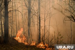 Спасатели в ЯНАО борются с двумя природными пожарами