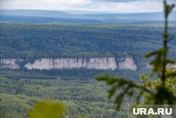 В рамках проекта на территории будут размещены фигуры животных в натуральную величину
