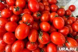 Овощи доставили из Казахстана
