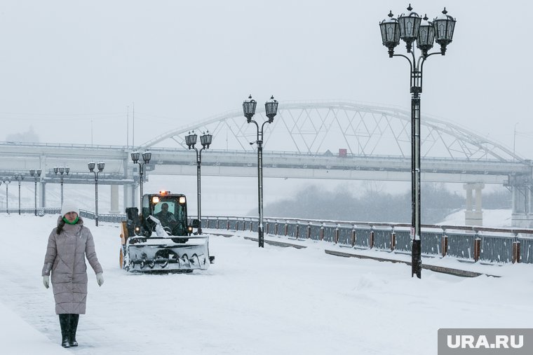 Самым снежным днем станет 15 февраля