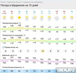 В Шадринске под конец недели похолодает