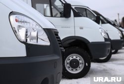 Выручка компании достигла 3,4 млрд рублей