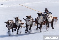 В 2024 году День оленевода в Надыме отмечали также 23 февраля (архивное фото)