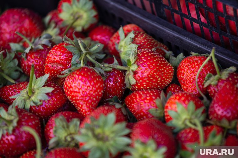 В ближайшее время продукция поступит в продажу