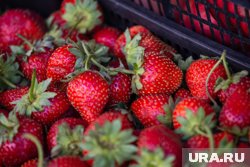 В ближайшее время продукция поступит в продажу