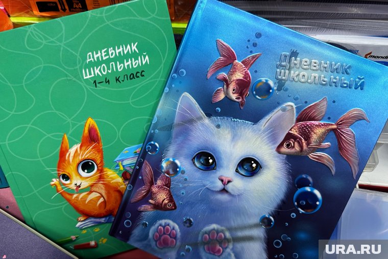 С помощью нейросети можно получать информацию об оценках и посещаемости детей