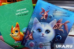 С помощью нейросети можно получать информацию об оценках и посещаемости детей