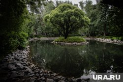 В дендрарии на Первомайской также ввели абонемент