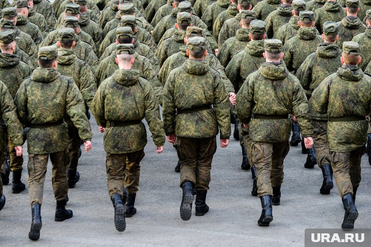 Привлекать ежегодно до 40 тысяч 18-летних граждан планируется к 2031 году
