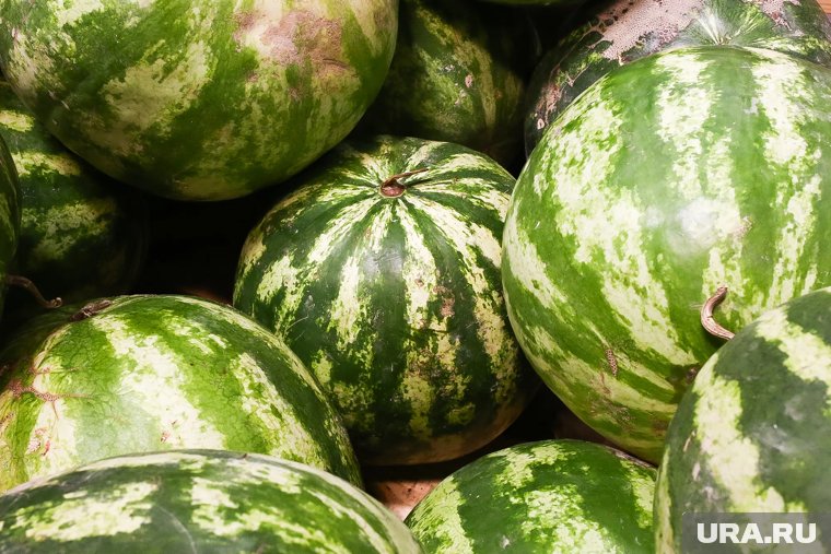Из-за перезрелости вкусовые качества арбуза оставляют желать лучшего
