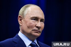 Путин рассматривает направления сотрудничества с США