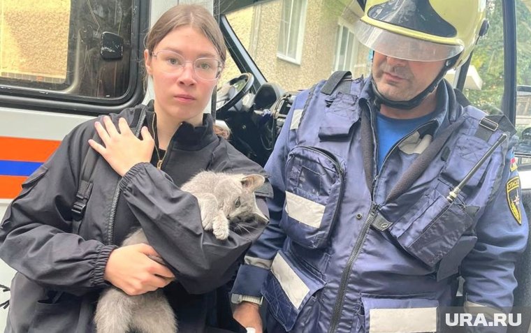 Кота спасли с пятого этажа 