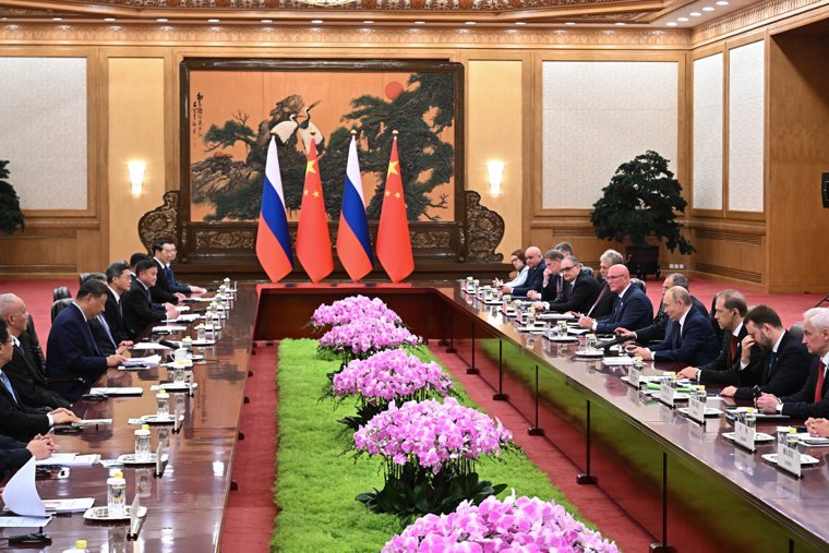 Сиреневые орхидеи имеют особое значение