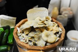 Грузди обычно появляются со второй половины лета