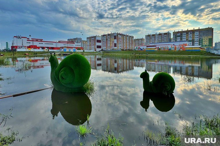 Улитки в парке по воде словно плывут