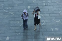 Несмотря на теплую погоду, в Тюмени продолжаются дождливые дни