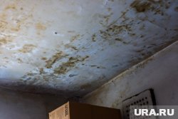 Из-за коммунальной аварии квартиру югорчанки затопило