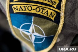 Россия продемонстрировала, что НАТО является бумажным тигром, заявили в Британии
